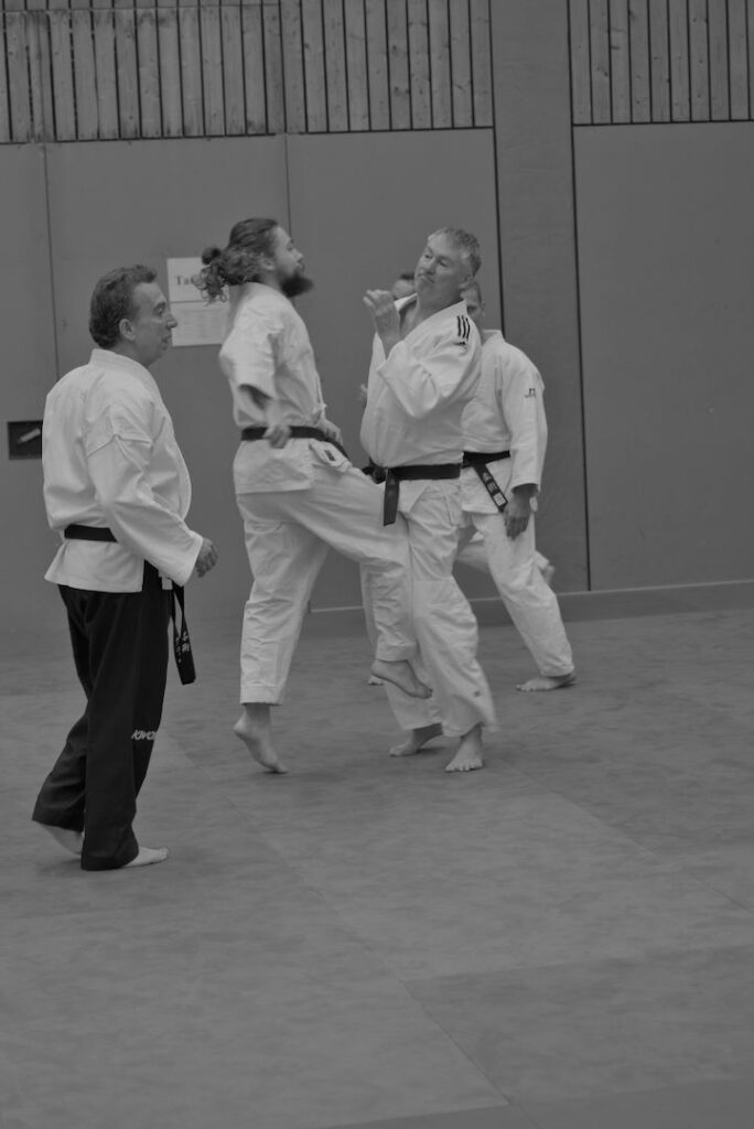 Bilder vom 28. internationaler und verbandsoffener Ju-Jitsu Lehrgang